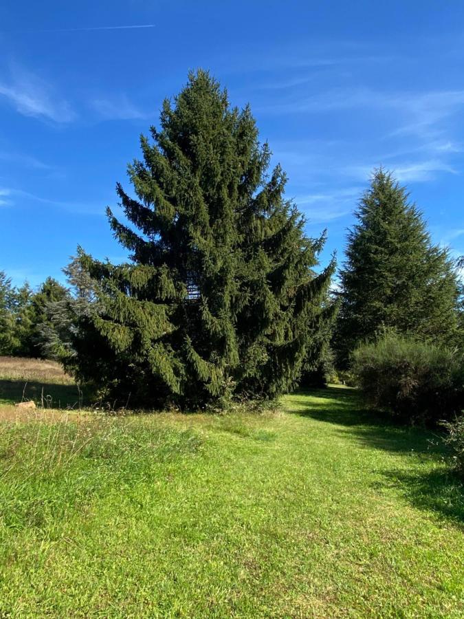 Domaine Le Manoir, Gites De Charme Et De Caractere Avec Piscines Privatisees Et Spa Nordique Fossemagne Bagian luar foto