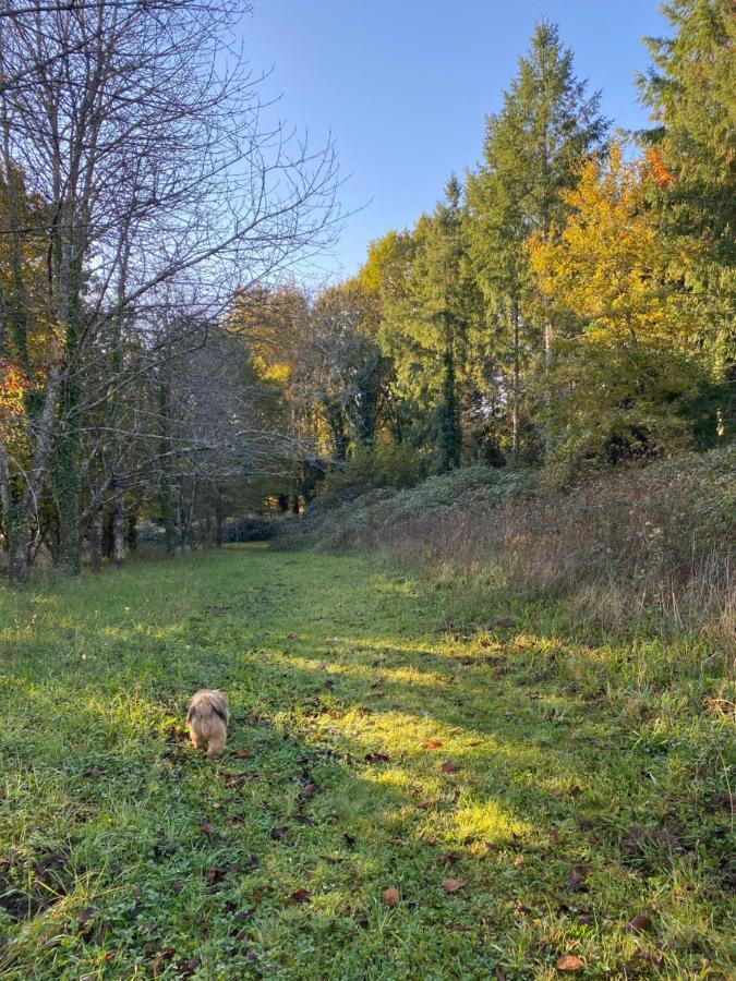 Domaine Le Manoir, Gites De Charme Et De Caractere Avec Piscines Privatisees Et Spa Nordique Fossemagne Bagian luar foto