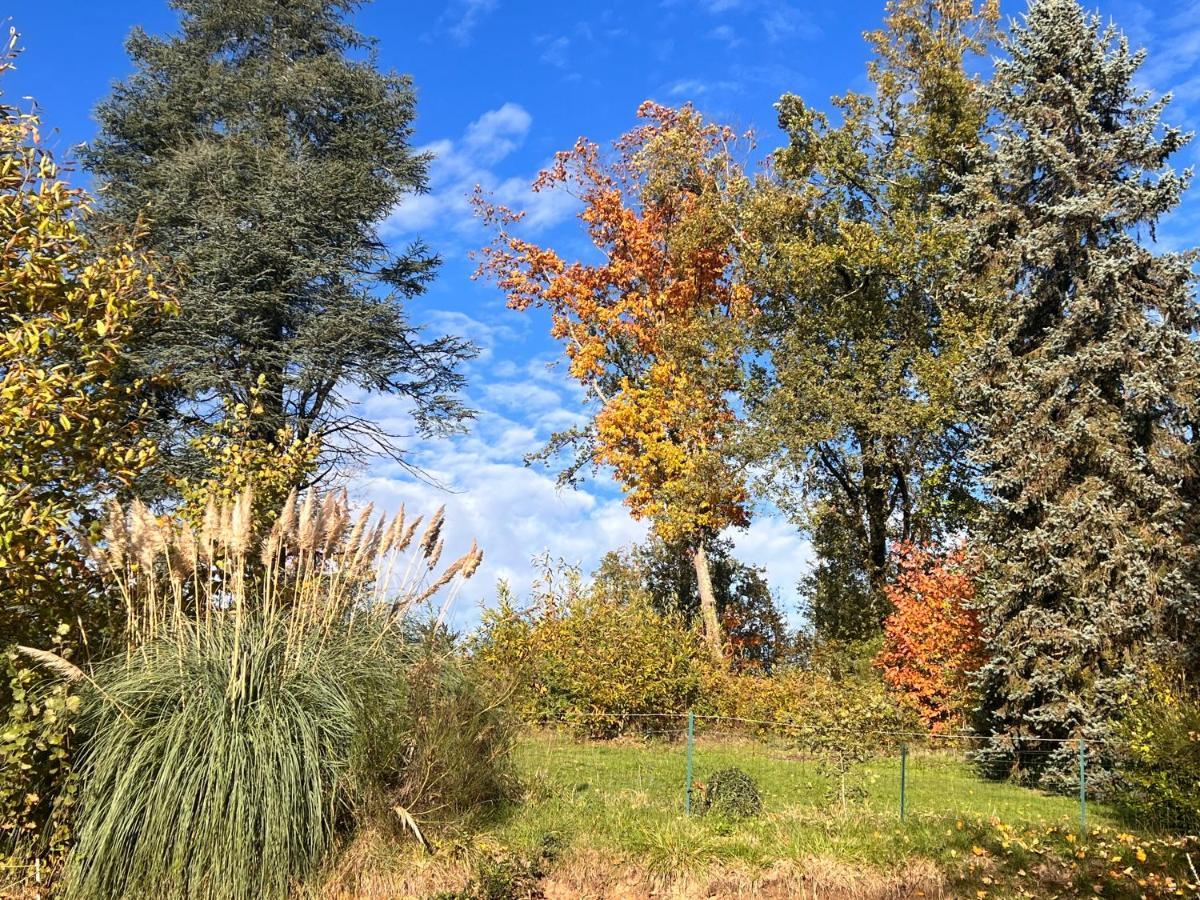 Domaine Le Manoir, Gites De Charme Et De Caractere Avec Piscines Privatisees Et Spa Nordique Fossemagne Bagian luar foto