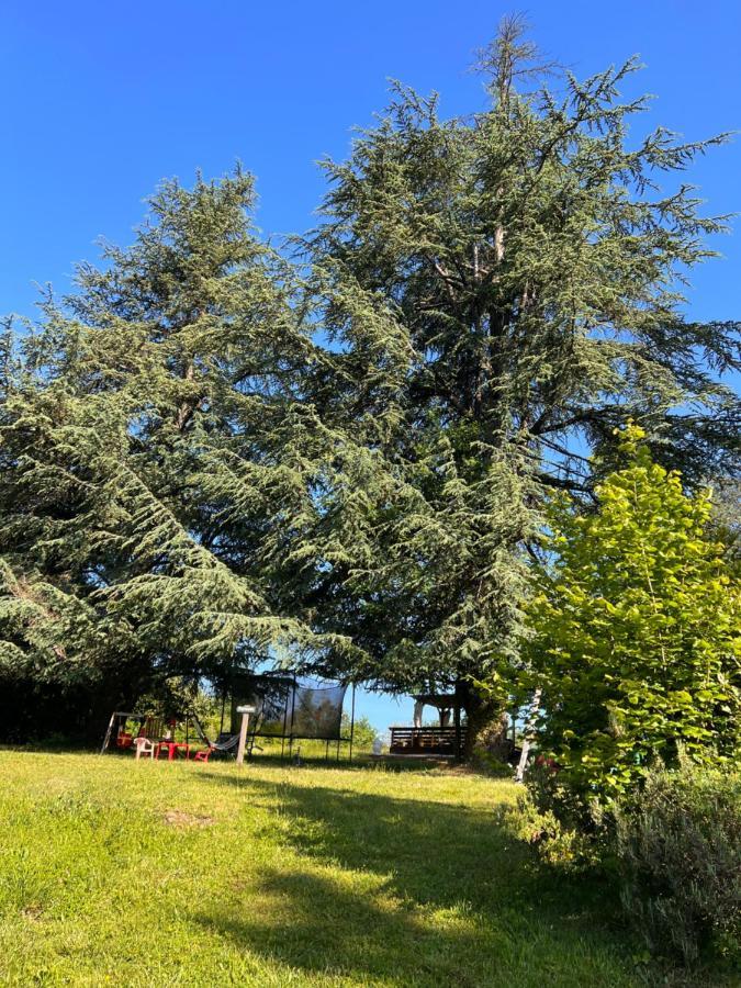 Domaine Le Manoir, Gites De Charme Et De Caractere Avec Piscines Privatisees Et Spa Nordique Fossemagne Bagian luar foto
